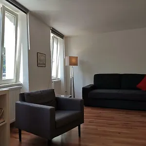 Neckarblick - Altstadt Heidelberg