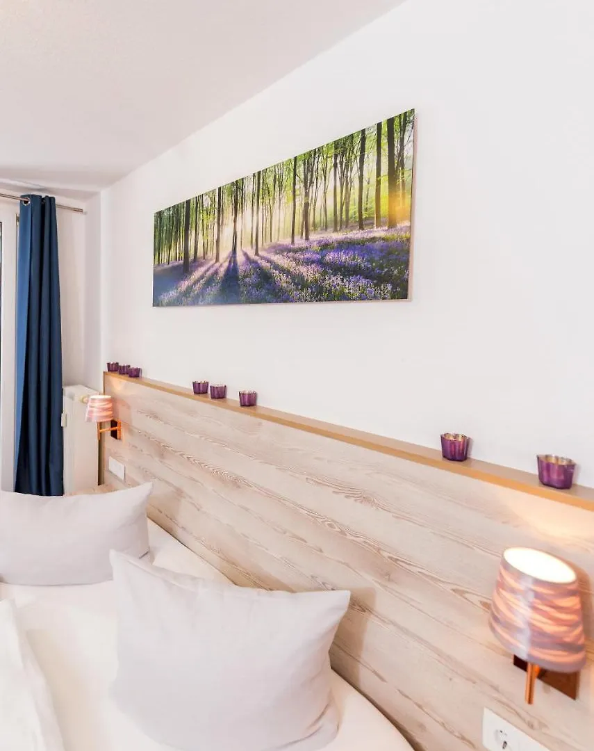 Apartment Appartement Classic Heidelberg Germany